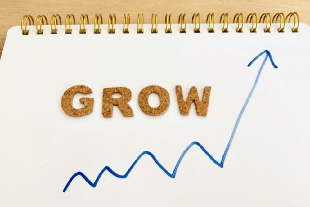 企業の成長フェーズ別：最適なファイナンス戦略