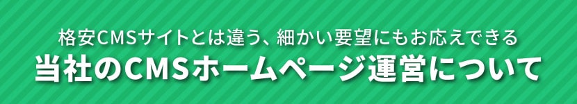 ＣＭＳホームページ運営について